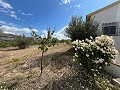 Maison de campagne avec 3 chambres et 2 salles de bains in Alicante Dream Homes API 1122