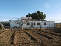 Large Country House with Pool & Vineyard in Alicante Dream Homes API 1122