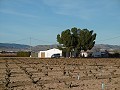 Large Country House with Pool & Vineyard in Alicante Dream Homes API 1122