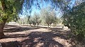 Belle Villa De Campagne Avec Piscine Et Terrain in Alicante Dream Homes API 1122