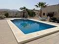 Superbe villa de 3 chambres avec piscine privée in Alicante Dream Homes API 1122