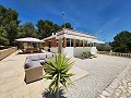 Huis met 3 slaapkamers en gastenhut met 1 bed in Alicante Dream Homes API 1122