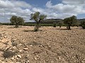 Landhuis met 4 slaapkamers, garage en zwembad in Alicante Dream Homes API 1122