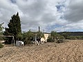 Landhuis met 4 slaapkamers, garage en zwembad in Alicante Dream Homes API 1122