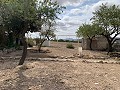 Maison de campagne avec 4 chambres, Garage et Piscine in Alicante Dream Homes API 1122