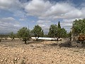 Landhuis met 4 slaapkamers, garage en zwembad in Alicante Dream Homes API 1122