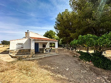 Magnificent country house with renovation potential in Almansa