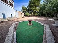 Magnífico campo con potencial de reforma en Almansa  in Alicante Dream Homes API 1122