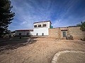 Magnificent country house with renovation potential in Almansa in Alicante Dream Homes API 1122