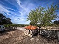 Herrliches Grundstück mit Renovierungspotenzial in Almansa in Alicante Dream Homes API 1122