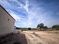 Magnificent country house with renovation potential in Almansa in Alicante Dream Homes API 1122