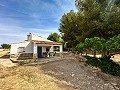 Magnificent country house with renovation potential in Almansa in Alicante Dream Homes API 1122