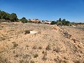 27.000 m2 Grundstück mit Holzhütte in Alicante Dream Homes API 1122