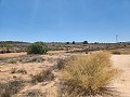 27.000m2 de terreno con cabaña de madera in Alicante Dream Homes API 1122