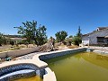 Stunning Countryhouse with Private Pool in Alicante Dream Homes API 1122