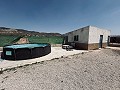 Villa with outbuildings in Abanilla in Alicante Dream Homes API 1122