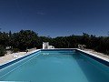 Superbe villa de 4 chambres avec piscine à Caudete in Alicante Dream Homes API 1122