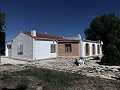 Superbe villa de 4 chambres avec piscine à Caudete in Alicante Dream Homes API 1122