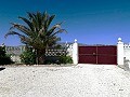 Prachtige villa met 4 slaapkamers en zwembad in Caudete in Alicante Dream Homes API 1122