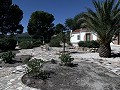 Superbe villa de 4 chambres avec piscine à Caudete in Alicante Dream Homes API 1122