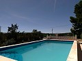 Prachtige villa met 4 slaapkamers en zwembad in Caudete in Alicante Dream Homes API 1122