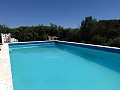 Atemberaubende 4-Schlafzimmer-Villa mit Pool in Caudete in Alicante Dream Homes API 1122