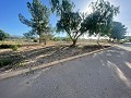 Land in Ubeda in Alicante Dream Homes API 1122