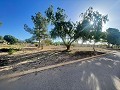 Land in Ubeda in Alicante Dream Homes API 1122