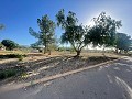 Land in Ubeda in Alicante Dream Homes API 1122