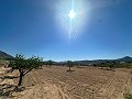 Schönes Baugrundstück in Macisvenda in Alicante Dream Homes API 1122