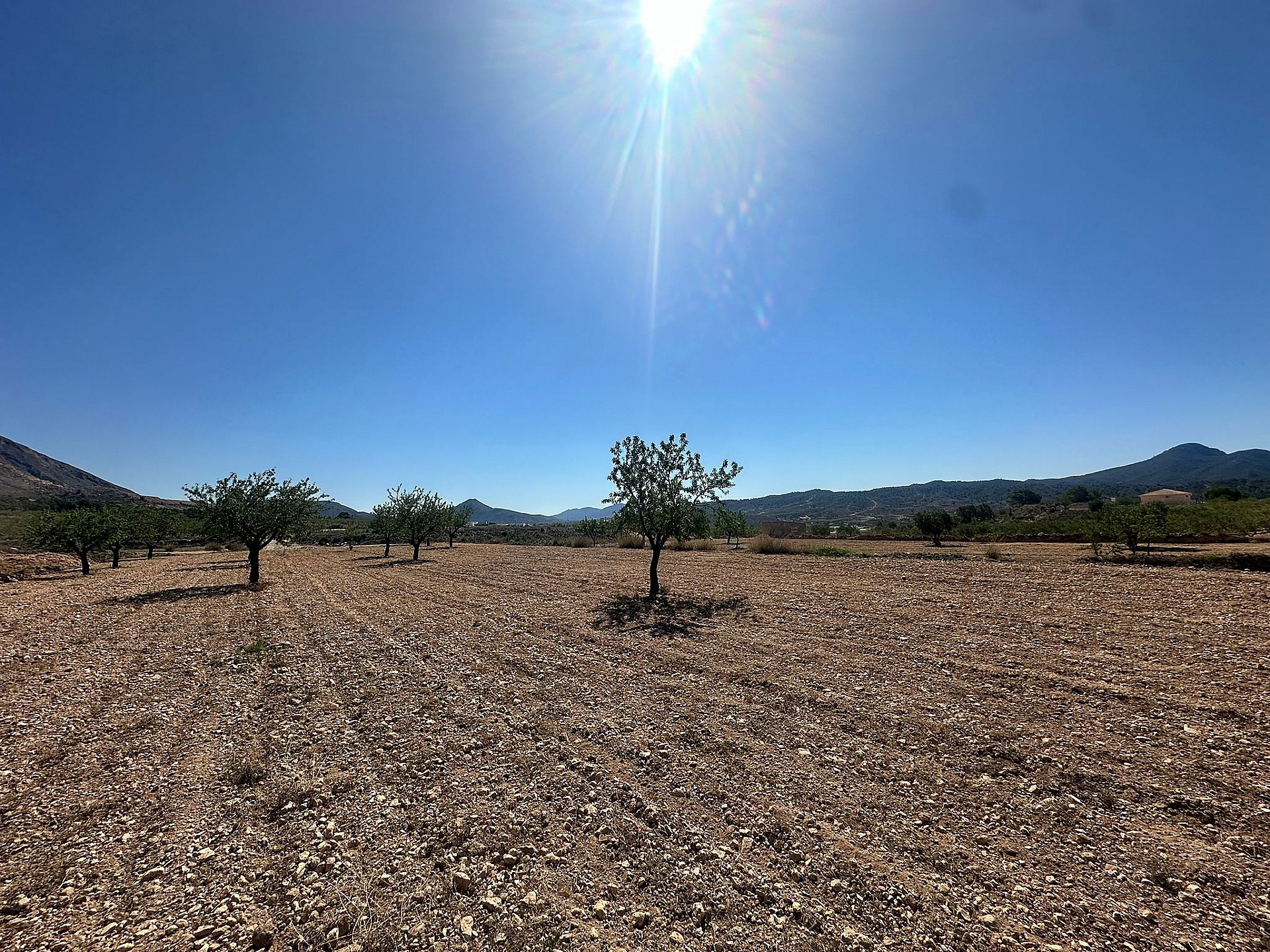 Land in Macisvenda