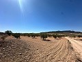 Huge building plot in Cañada Del Trigo in Alicante Dream Homes API 1122