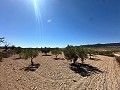 Magnifique terrain à bâtir à Cañada Del Trigo in Alicante Dream Homes API 1122