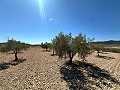 Magnifique terrain à bâtir à Cañada Del Trigo in Alicante Dream Homes API 1122