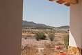 4 Bed Finca in Torre de Rico in Alicante Dream Homes API 1122