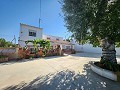 7 Bedroom country house with 9 x 4 pool and outbuildings in Alicante Dream Homes API 1122