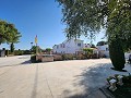 7 Bedroom country house with 9 x 4 pool and outbuildings in Alicante Dream Homes API 1122