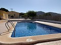 Villa with 3 Beds, large Pool & Summer Kitchen in Alicante Dream Homes API 1122