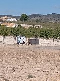 Building plot next to Ubeda in Alicante Dream Homes API 1122