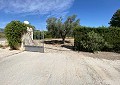 Villa in Salinas with Private Pool & Land with Olive Trees in Alicante Dream Homes API 1122