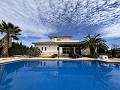 Schöne Villa mit Pool in Pinoso in Alicante Dream Homes API 1122