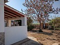 4 værelses hus Yecla in Alicante Dream Homes API 1122