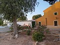 3 værelses renoveret hus Yecla in Alicante Dream Homes API 1122