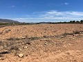 15.000 m2 Land in Pinoso mit Strom vor Ort und Trinkwasser in der Nähe in Alicante Dream Homes API 1122