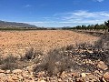 15.000m2 de terreno en Pinoso con luz en el lugar y agua potable cerca in Alicante Dream Homes API 1122