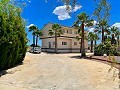 Villa traditionnelle de luxe à Novelda in Alicante Dream Homes API 1122