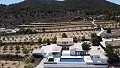 Prachtige villa met 5 slaapkamers en 6 badkamers in Alicante Dream Homes API 1122