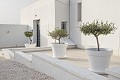 Prachtige villa met 5 slaapkamers en 6 badkamers in Alicante Dream Homes API 1122