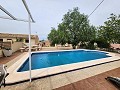 Gran casa de campo de 200 años de antigüedad con piscina in Alicante Dream Homes API 1122