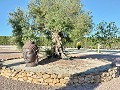 Villa mit unglaublicher Aussicht in einem kleinen Dorf nur wenige Minuten von Pinoso entfernt in Alicante Dream Homes API 1122